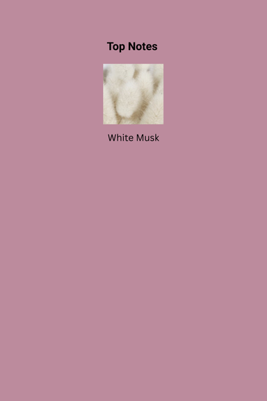 1016_216.png
