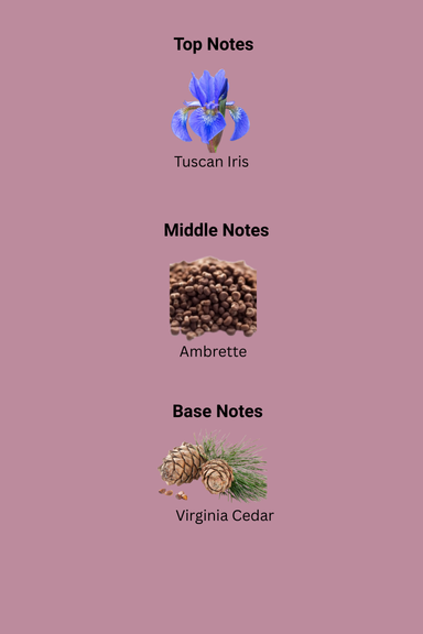 264_264.png