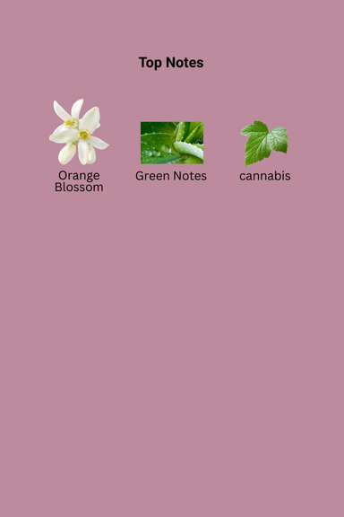 656_156.png