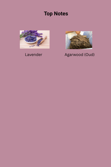 964_164.png